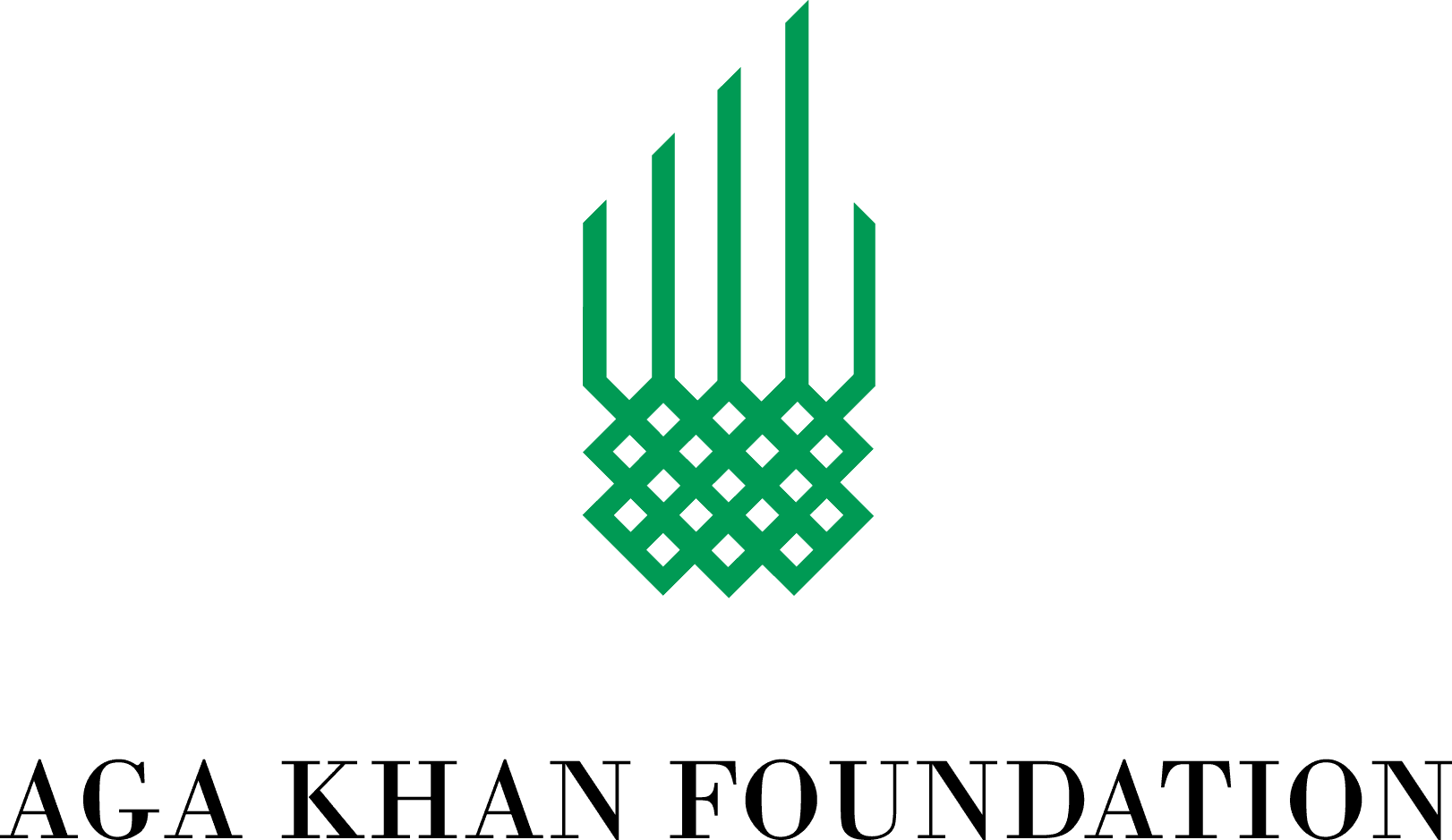 Youth Advisory Committee Member at Aga Khan Foundation Canada