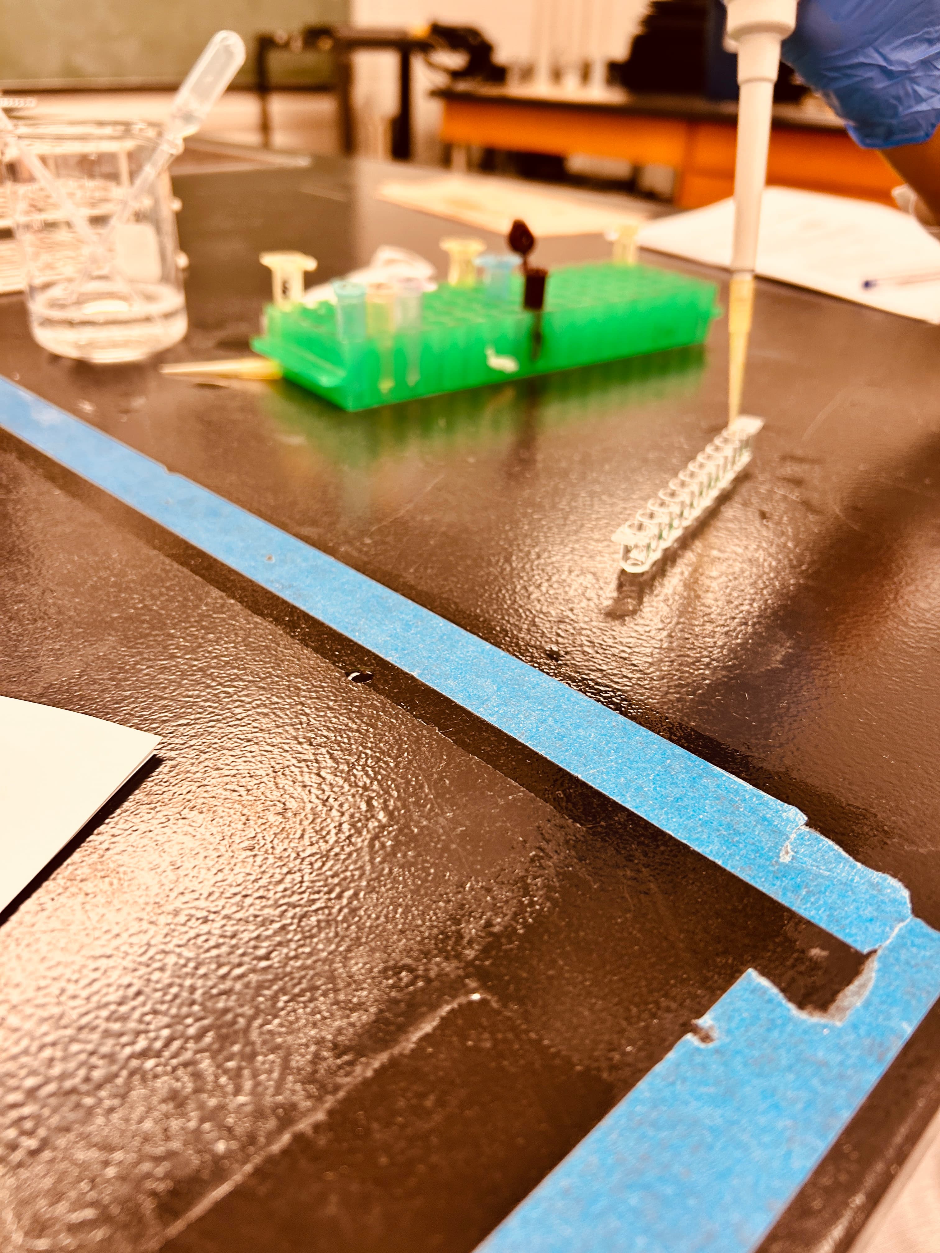 Exploring the World of Biochemistry at the University of Toronto - Image 1