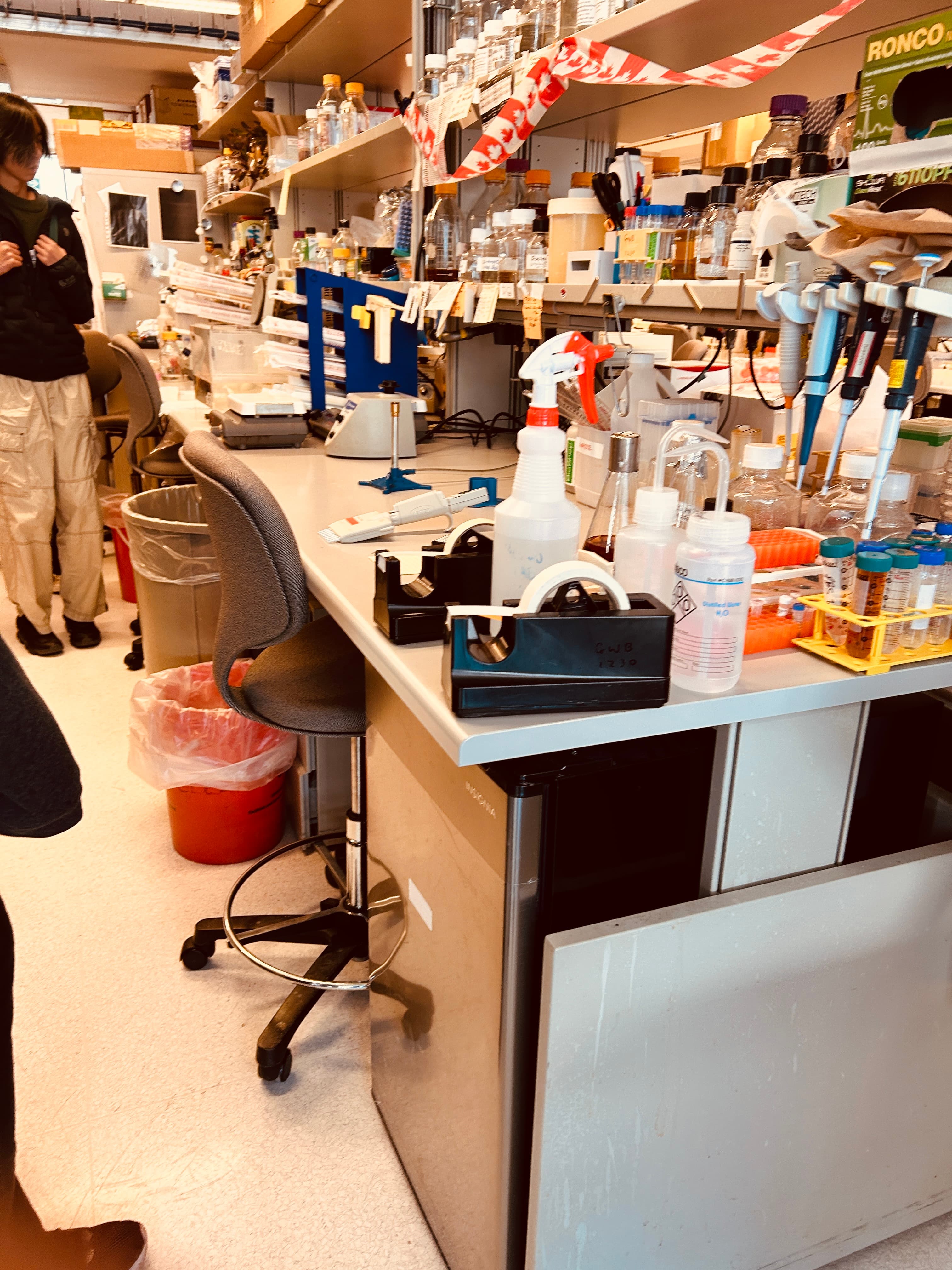 Exploring the World of Biochemistry at the University of Toronto - Image 5