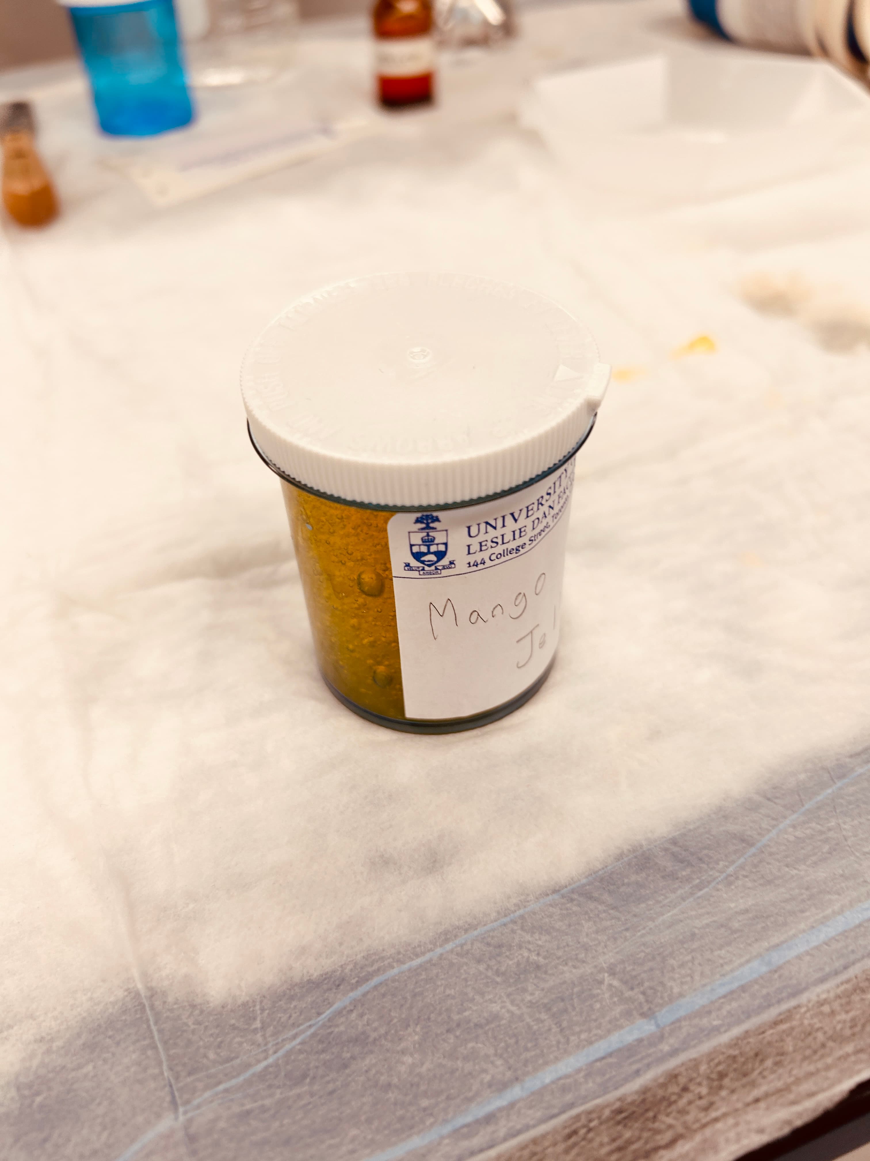 PharmPath Program: An In-Depth Experience at the Leslie Dan Faculty of Pharmacy - Image 13
