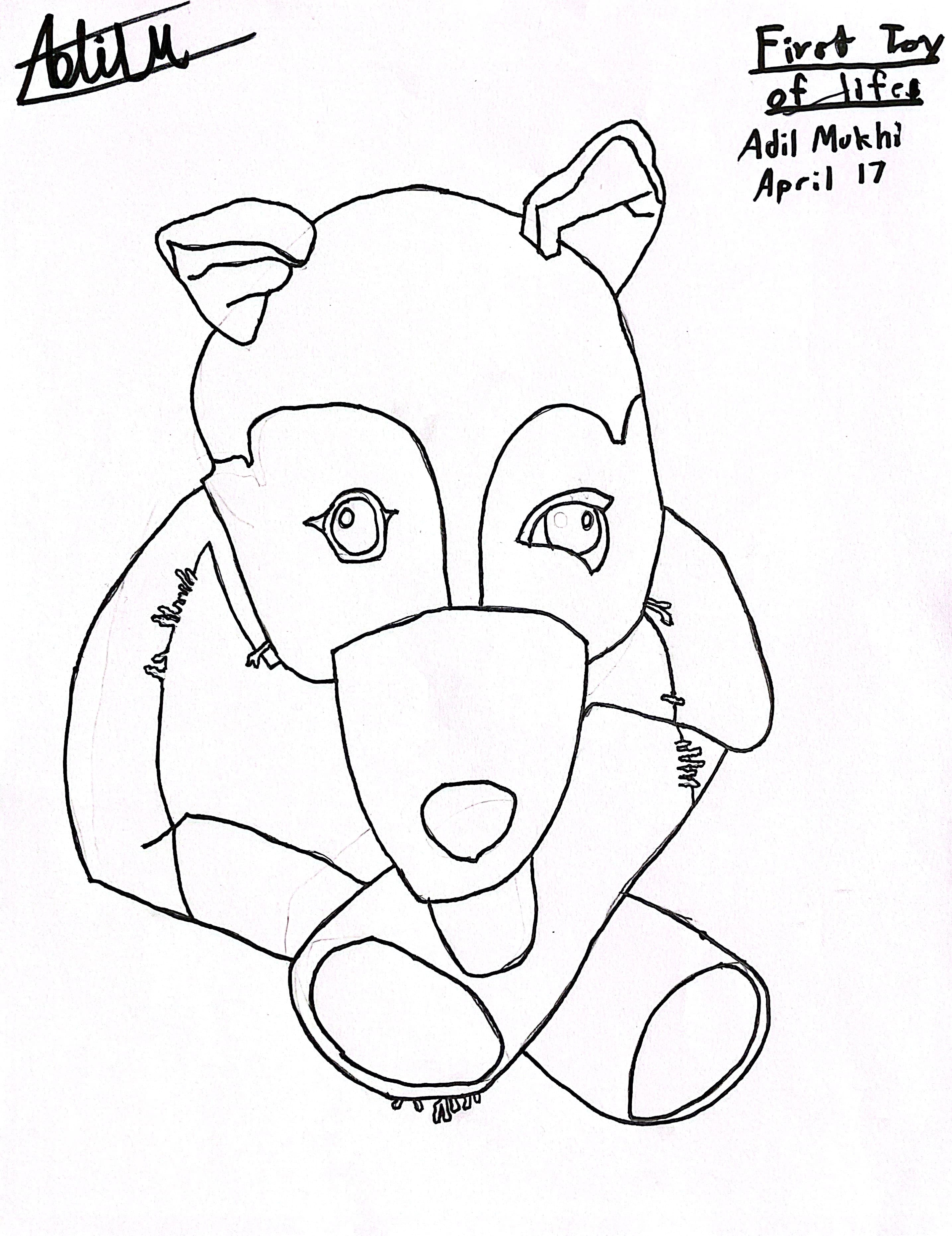 Contour Drawings