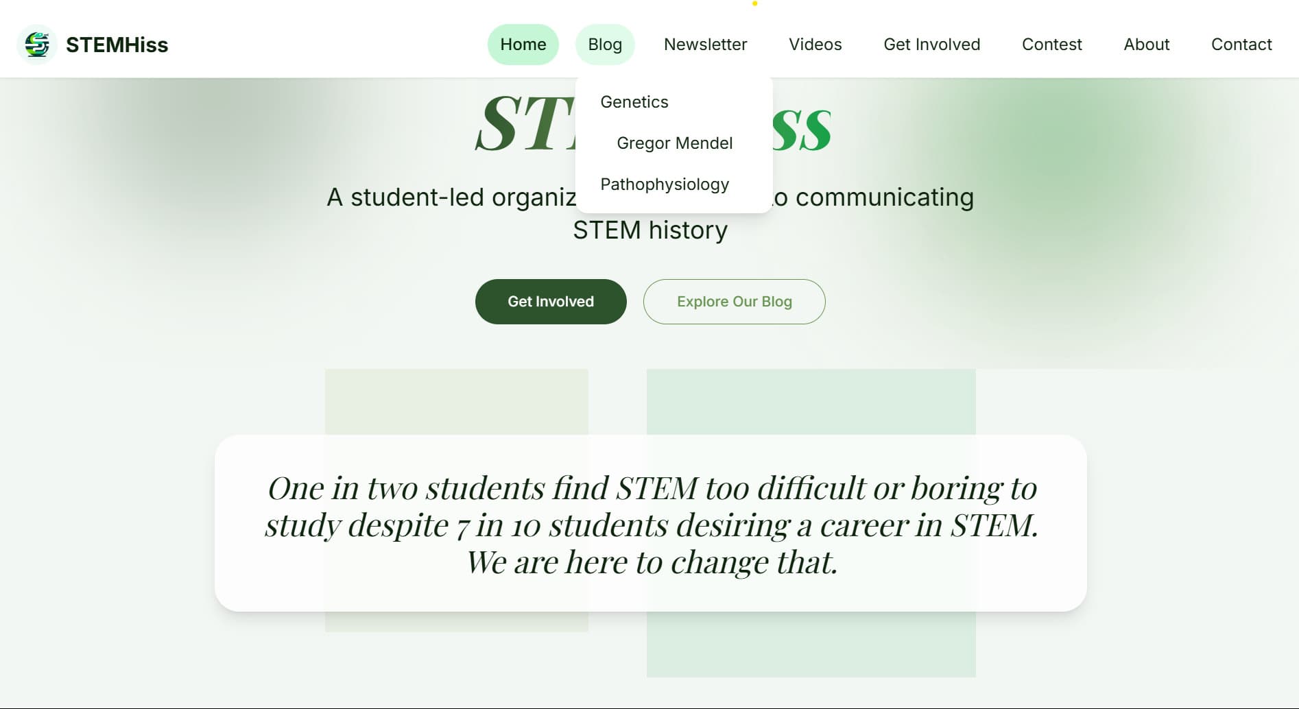 StemHiss Website