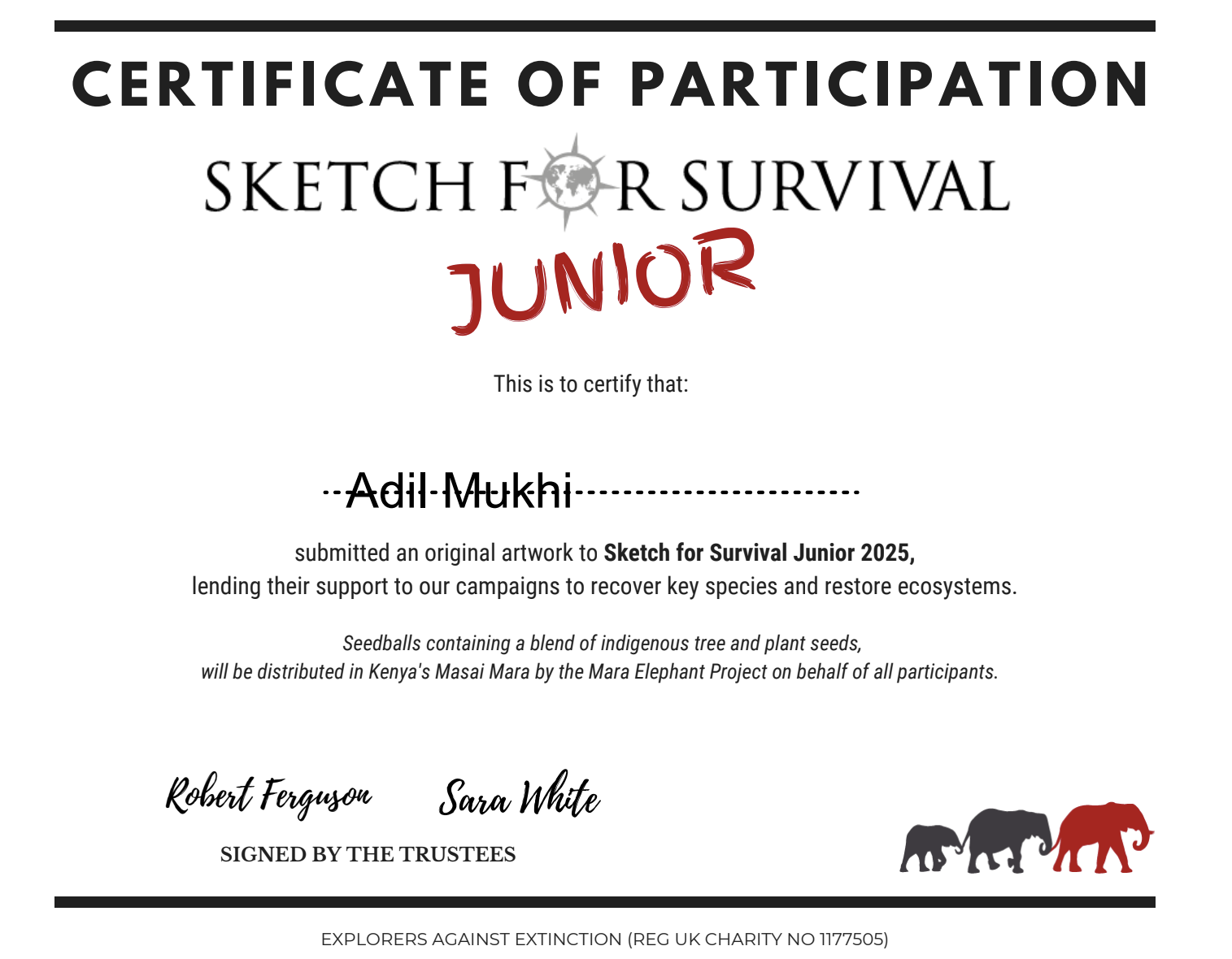Certificate of Participation - Sketch for Survival Junior
